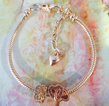 Load image into Gallery viewer, Smell The Rosey Goldies👃🌹