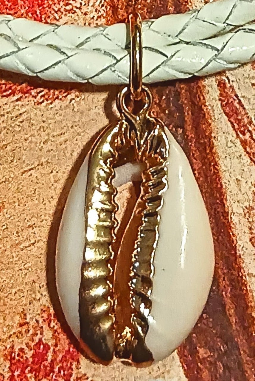 Sea Shells 🐚🦭🌊