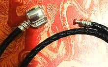 Load image into Gallery viewer, Sea Shells 🐚🦭🌊
